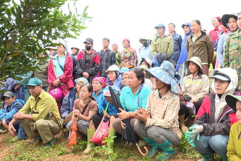 Mường Mùn hướng dẫn kỹ thuật chăm sóc cây mắc ca – khẳng định hướng đi trong tái cơ cấu nông nghiệp