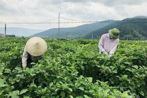 Nghị quyết đi vào đời sống