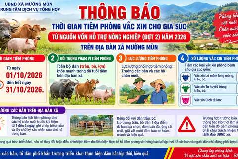 MƯỜNG MÙN TRIỂN KHAI TIÊM PHÒNG VẮC XIN CHO ĐÀN GIA SÚC ĐỢT 2 NĂM 2026